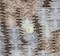 1 Yard Lightweight Dune Rayon Crinkle Fabric for Dresses Skirts Blouses Draping 50/52 Inch Width